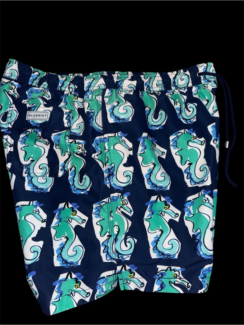Blue mint Arthus Swim Short-Navy Seahorse